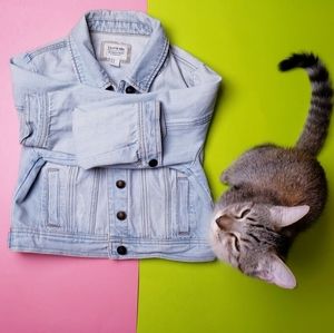 Cropped Jeans jacket (kitten not included)